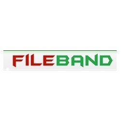 VipFile