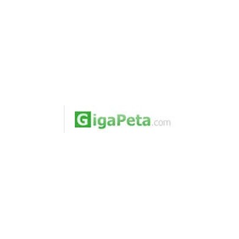 GigaPeta 180 Days Premium Account