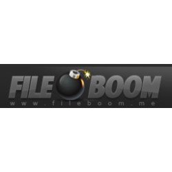Fileboom 365 Days Premium Max