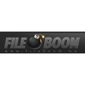 Fileboom 365 Days Premium Max