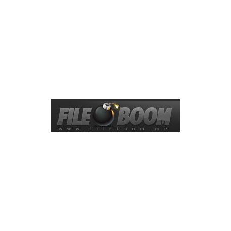 Fileboom 90 Days Premium Max