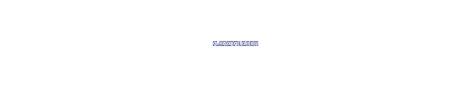 Filerive.net